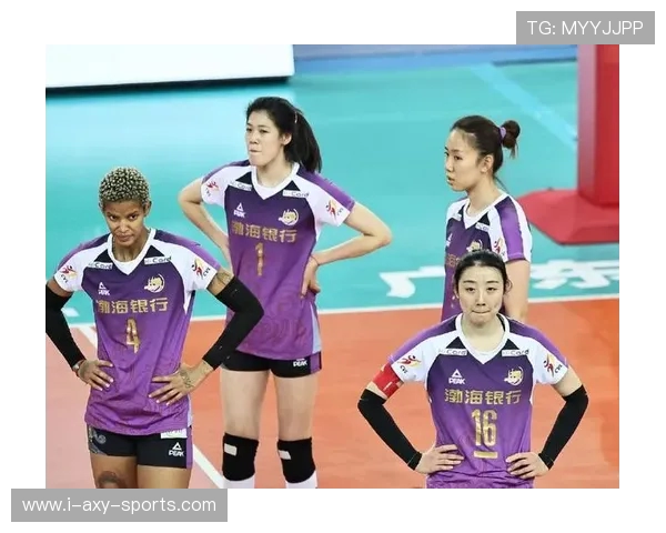 杭州排球队战术实力强劲荣登全国排球战术排行榜第五名